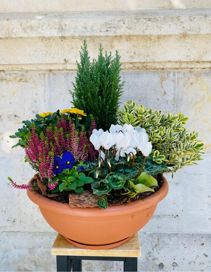 Centro de Plantas Grande - Especial Día de los Santos Centro de Plantas Grande - Especial Día de los Santos