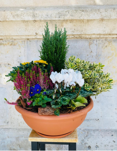 Centro de Plantas Grande - Especial Día de los Santos