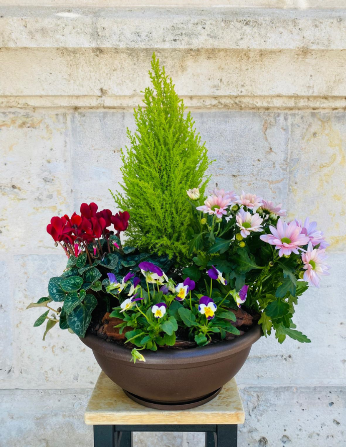 Centro de Plantas Mediano - Especial Día de los Santos Centro de Plantas Mediano - Especial Día de los Santos