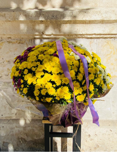 Crisantemo  Tricolor