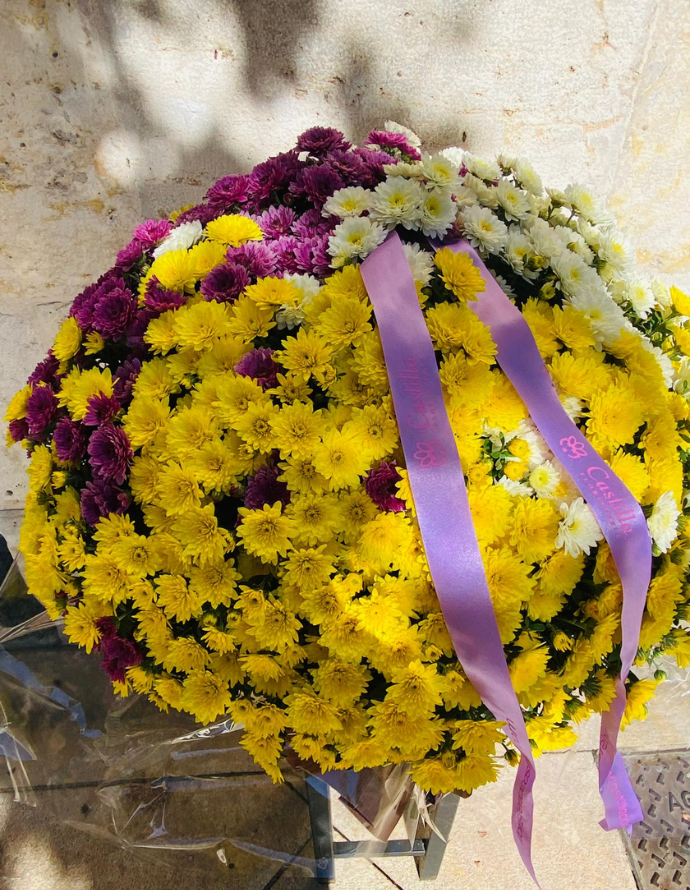 Crisantemo  Tricolor