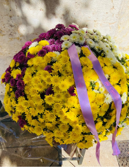 Crisantemo  Tricolor