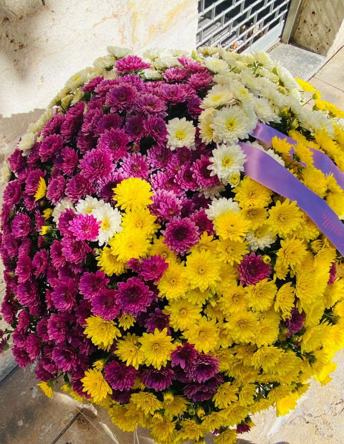 Crisantemo  Tricolor