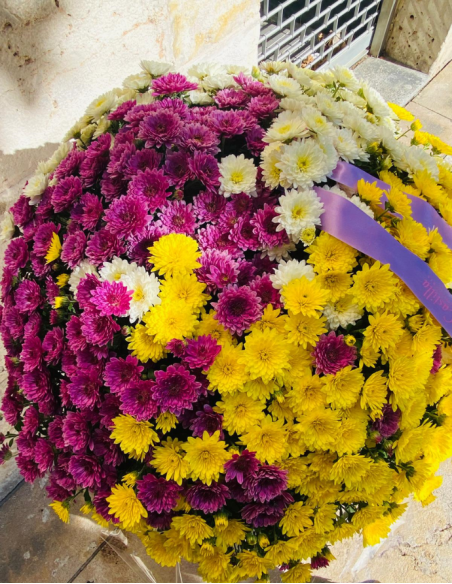 Crisantemo  Tricolor