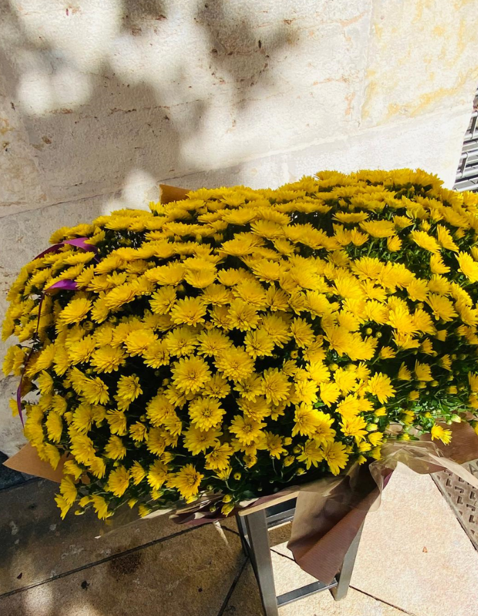 Jardinera Crisantemos Amarillos Jardinera Crisantemos Amarillos