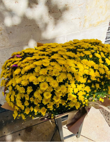 Jardinera Crisantemos Amarillos