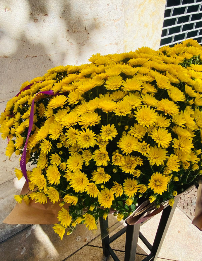 Jardinera Crisantemos Amarillos Jardinera Crisantemos Amarillos