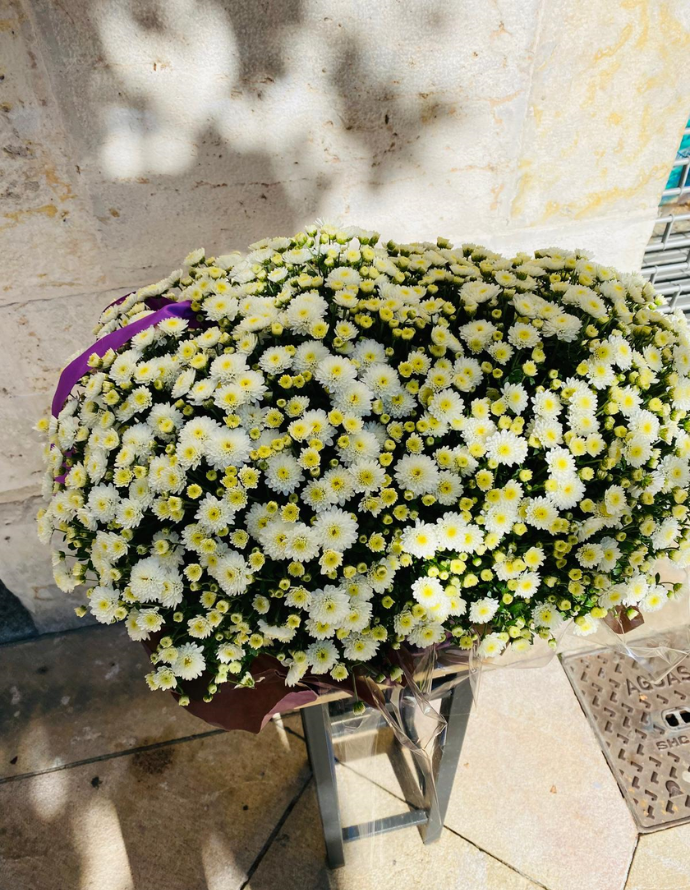 Jardinera Crisantemos Blancos Jardinera Crisantemos Blancos