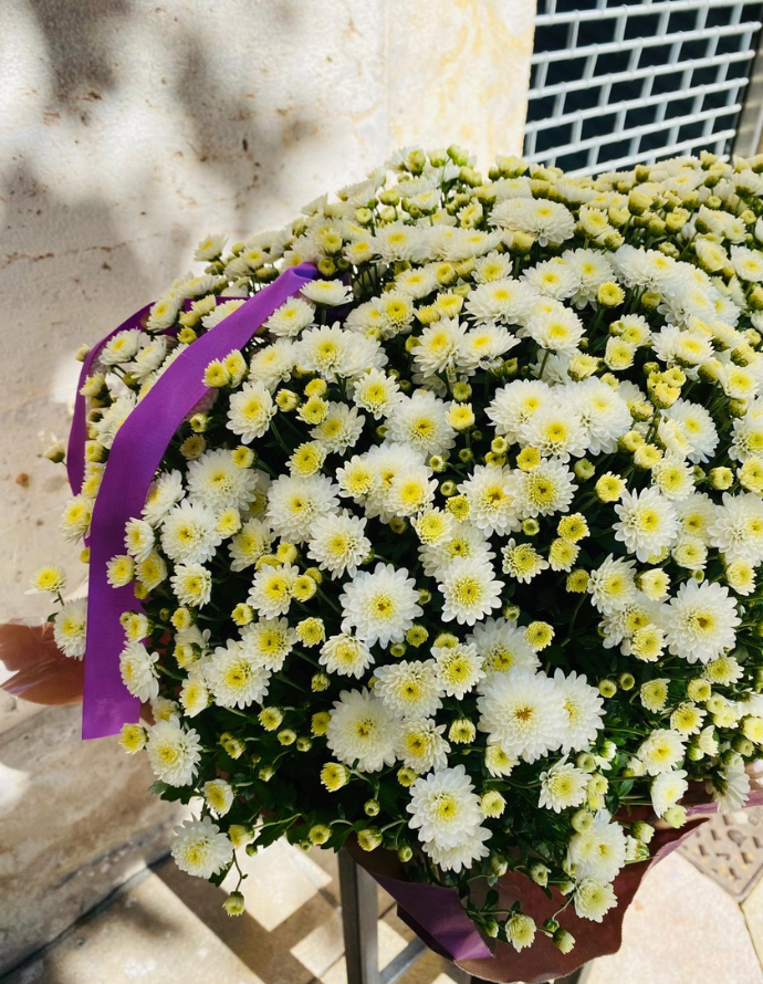 Jardinera Crisantemos Blancos Jardinera Crisantemos Blancos