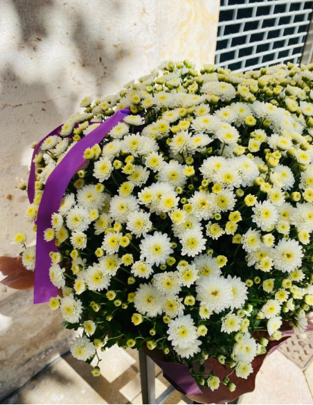 Jardinera Crisantemos Blancos