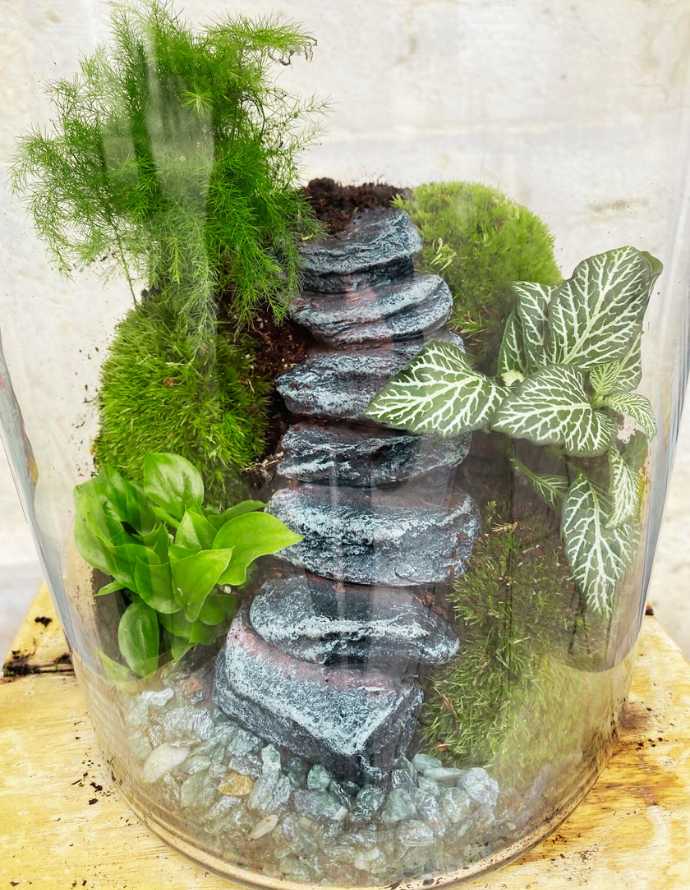 Terrarium Grande