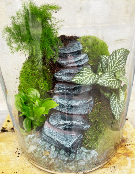 Terrarium Grande