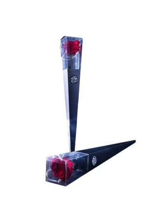 Rosa Preservada 50 cm  Rojo