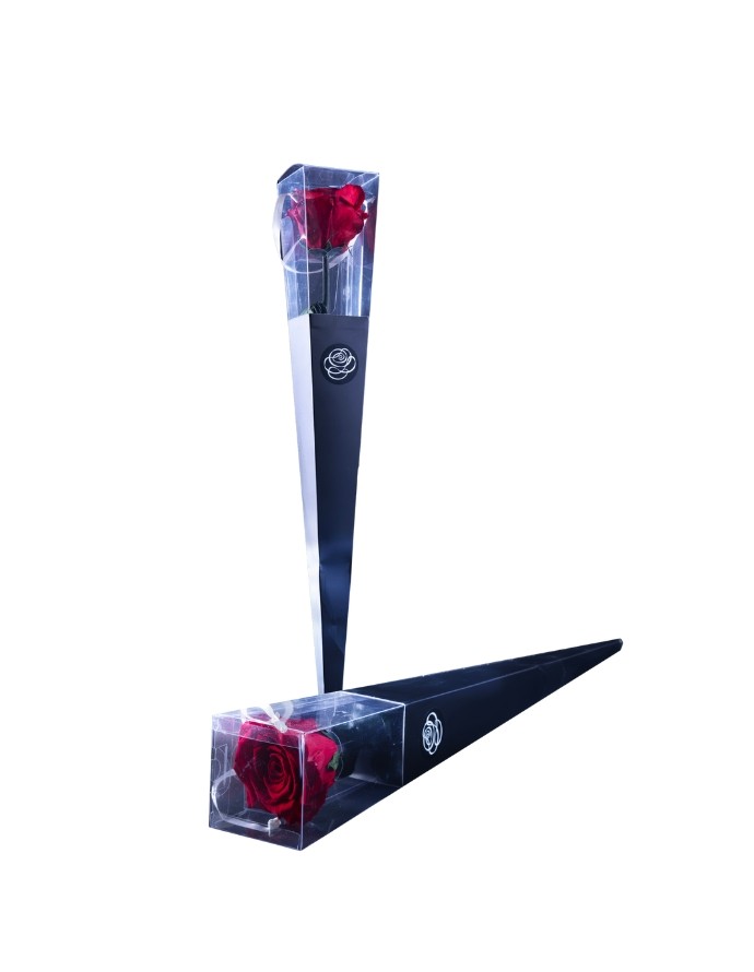 Rosa Preservada 50 cm  Rojo