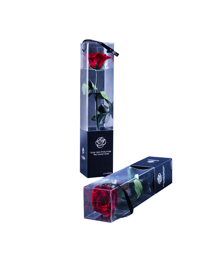 Rosa Preservada 30 cm Rojo
