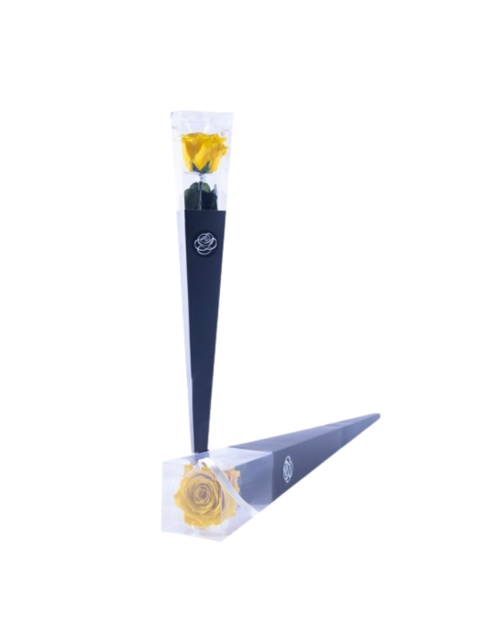 Rosa Preservada 50cm Amarillo