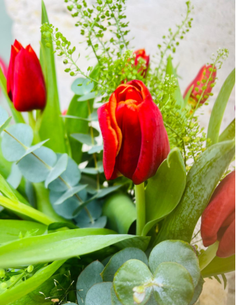 Ramo de Tulipanes - Rojos 2