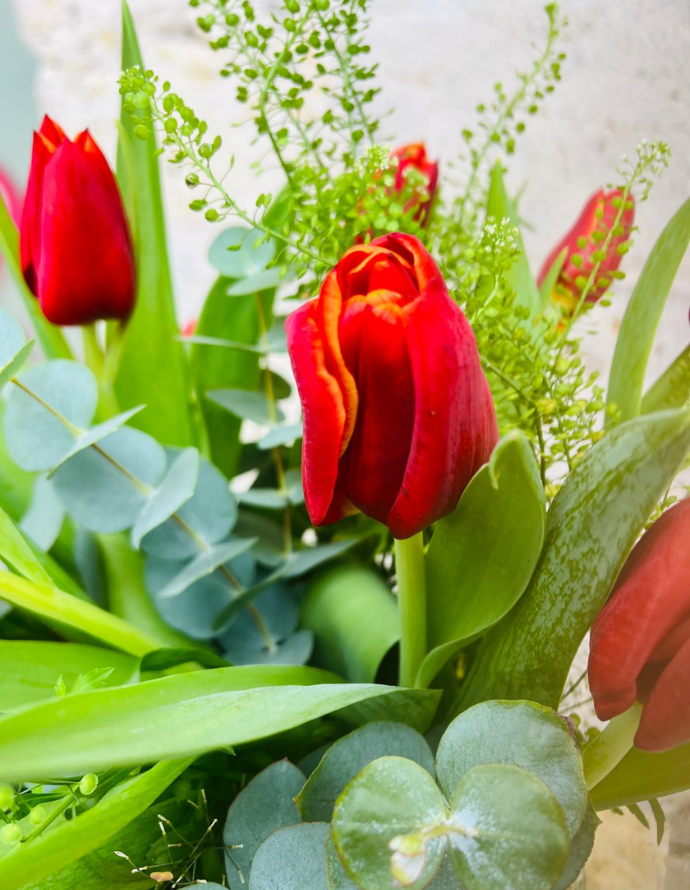 Ramo de Tulipanes - Naranja