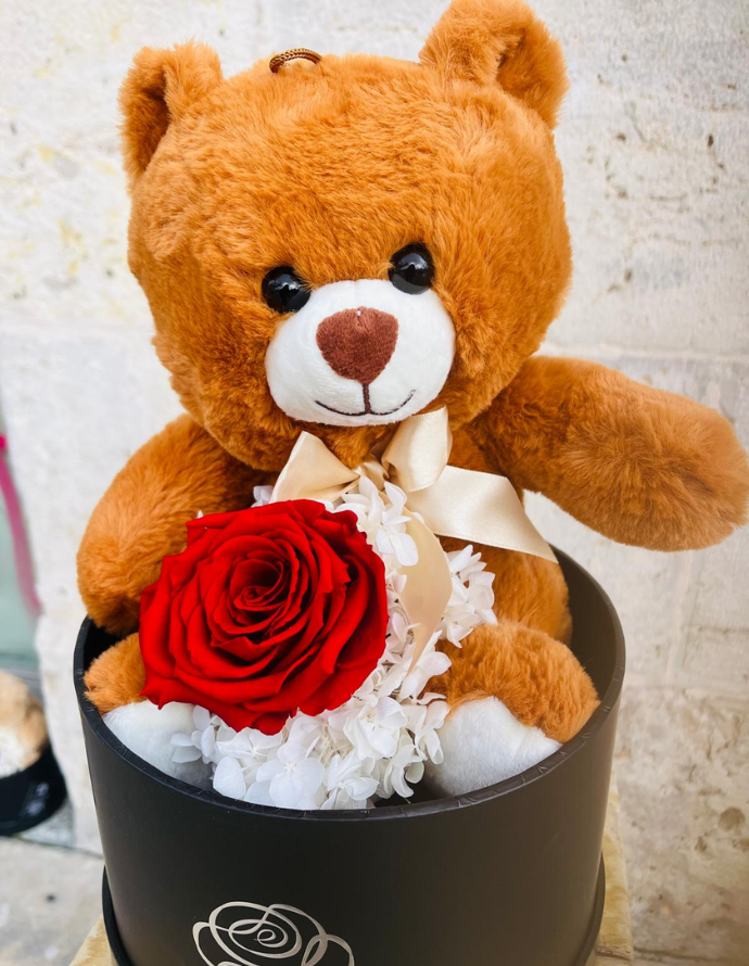 Teddy Oso con Flor Preservada Grande