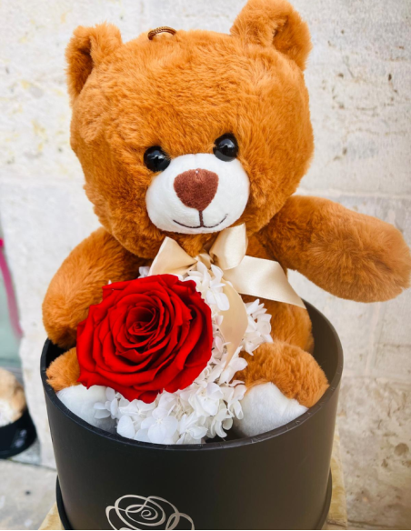 Teddy Oso con Flor Preservada Grande