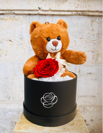 Teddy Oso con Flor Preservada Grande