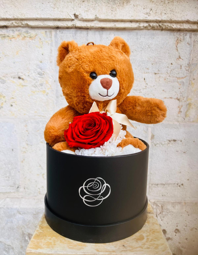 Teddy Oso con Flor Preservada Grande