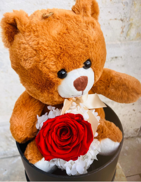 Teddy Oso con Flor Preservada Grande