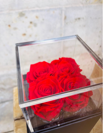 Flowercube 4 Rosas Rojas 2