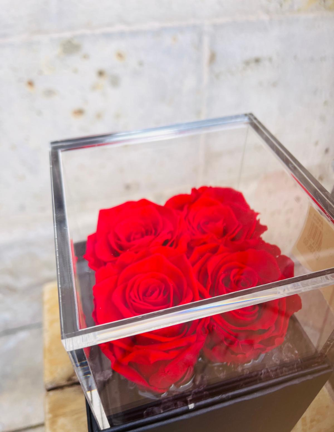 Flowercube 4 Rosas Rojas
