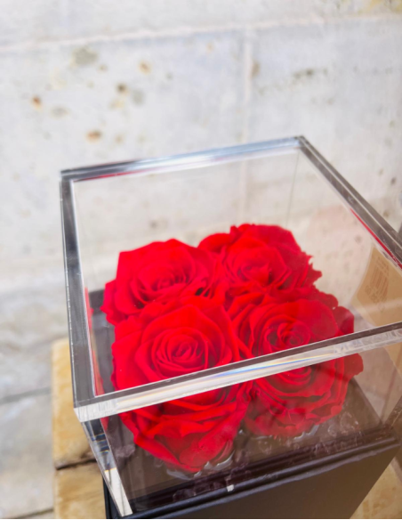 Flowercube 4 Rosas Rojas