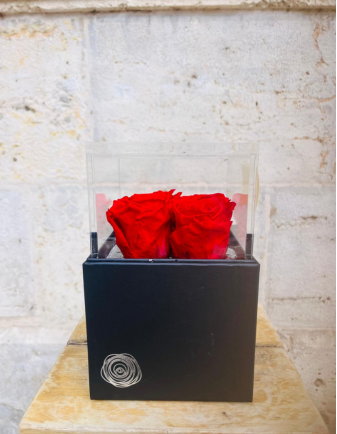 Flowercube 4 Rosas Rojas