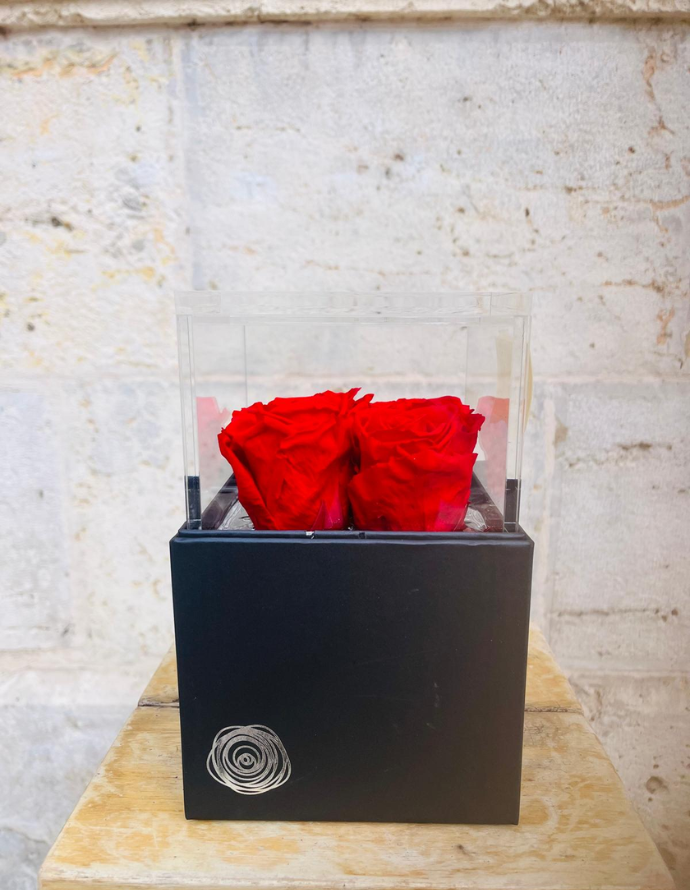 Flowercube 4 Rosas Rojas