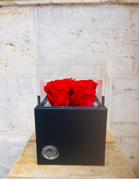 Flowercube 4 Rosas Rojas