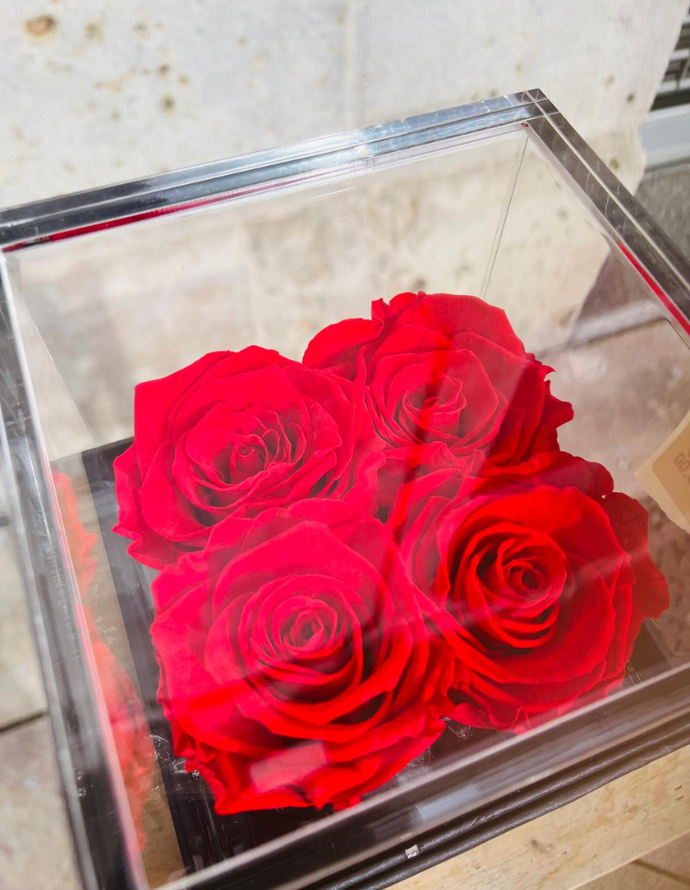 Flowercube 4 Rosas Rojas