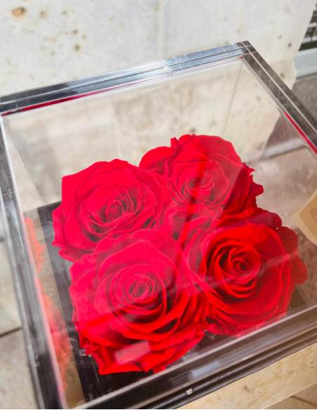 Flowercube 4 Rosas Rojas