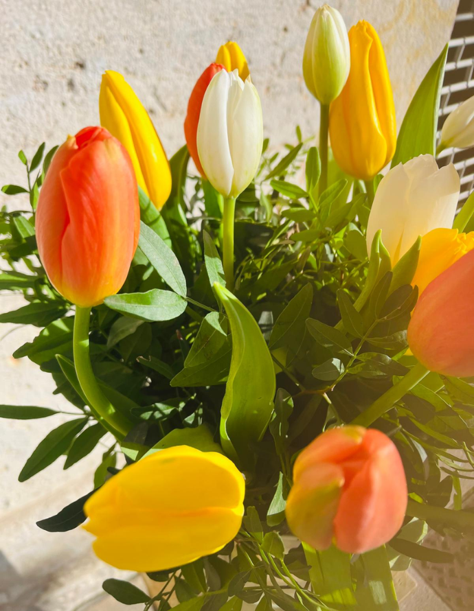 Ramo de Tulipanes Variados