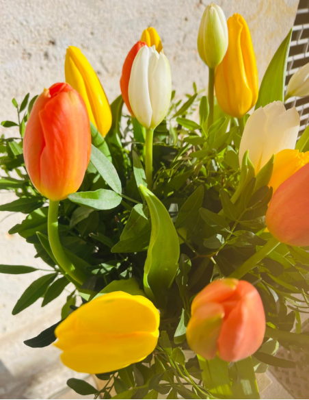 Ramo de Tulipanes Variados