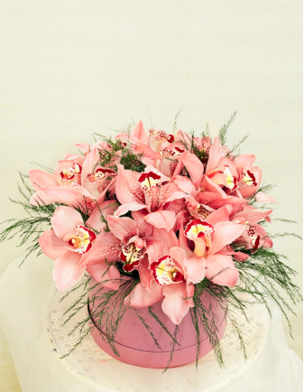 Bombonera de Cymbidium