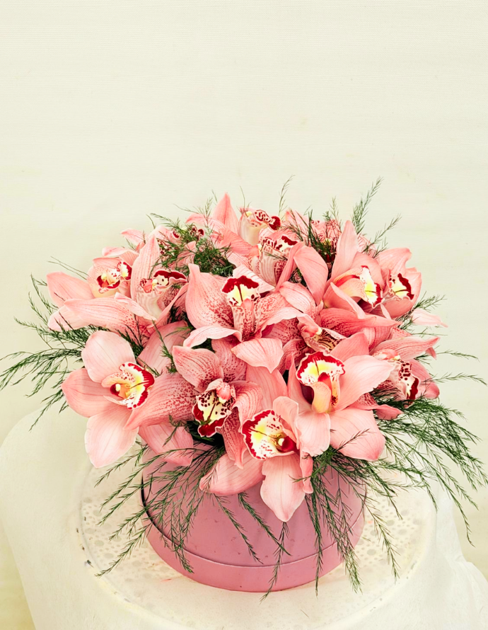 Bombonera de Cymbidium