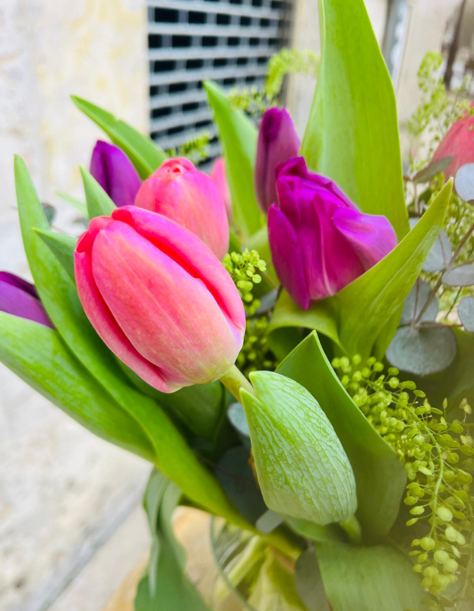 Ramo de Tulipanes Rosas y Morados