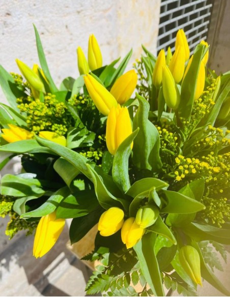 TULIPANES AMARILLOS