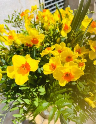 RAMO DE NARCISOS 2