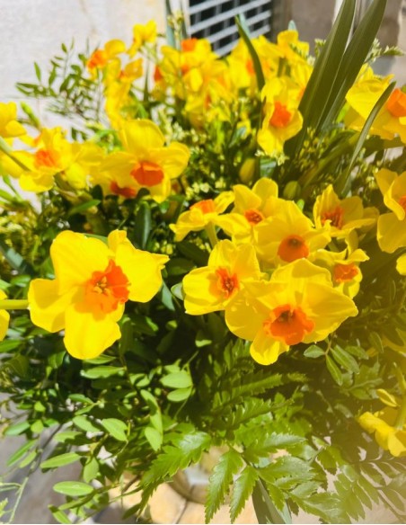 RAMO DE NARCISOS