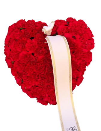 CORAZÓN PAZ INFINITA