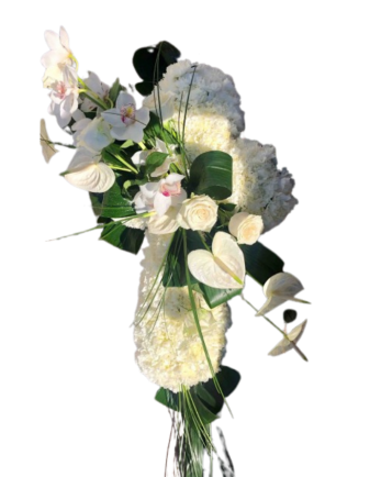 CRUZ ESENCIA DEL ALMA