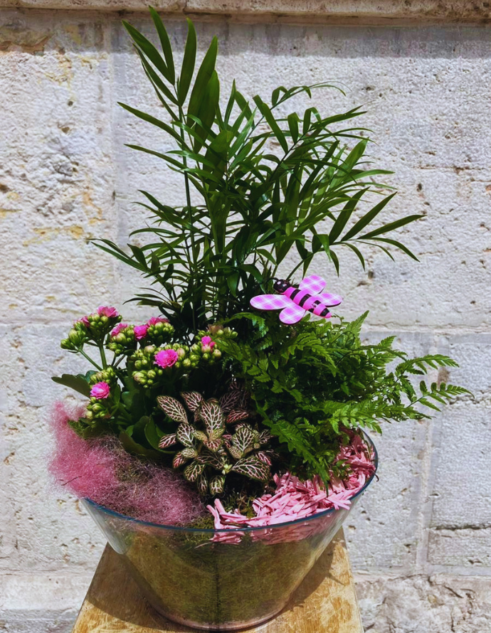 CENTRO PLANTAS PARA MAMÁ
