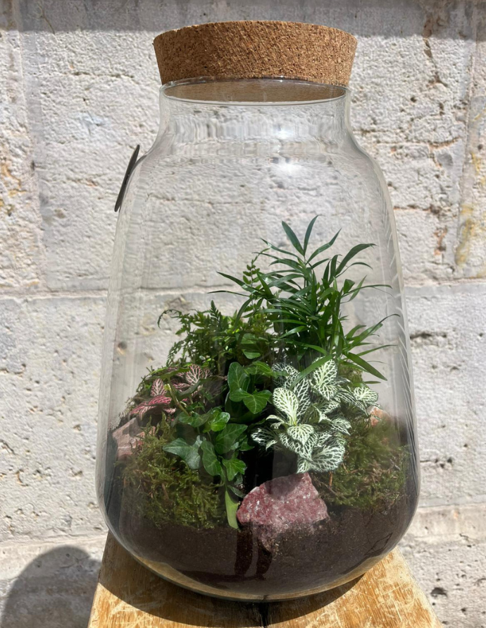 TERRARIUM LUMINA