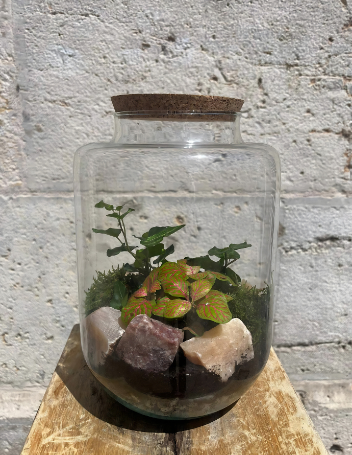 TERRARIUM ETHEREA