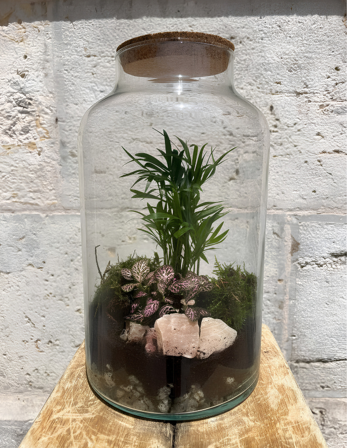 TERRARIUM EDÉN