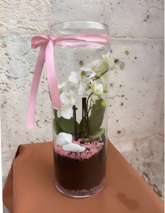 MINI ORQUÍDEA EN VÍDRIO